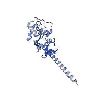 23785_7mdz_F_v1-1
80S rabbit ribosome stalled with benzamide-CHX