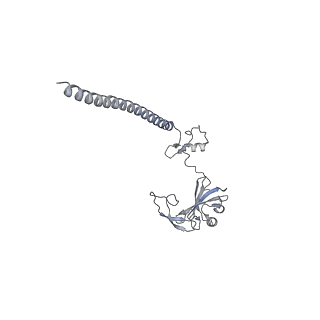 23785_7mdz_GG_v1-1
80S rabbit ribosome stalled with benzamide-CHX