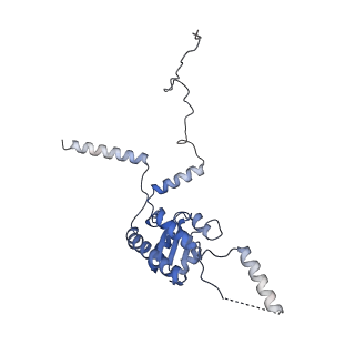 23785_7mdz_G_v1-1
80S rabbit ribosome stalled with benzamide-CHX
