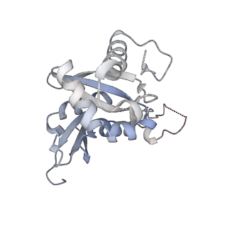 23785_7mdz_HH_v1-1
80S rabbit ribosome stalled with benzamide-CHX