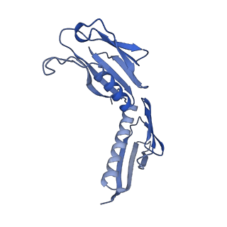 23785_7mdz_H_v1-1
80S rabbit ribosome stalled with benzamide-CHX