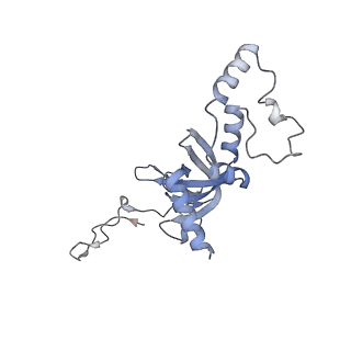 23785_7mdz_II_v1-1
80S rabbit ribosome stalled with benzamide-CHX