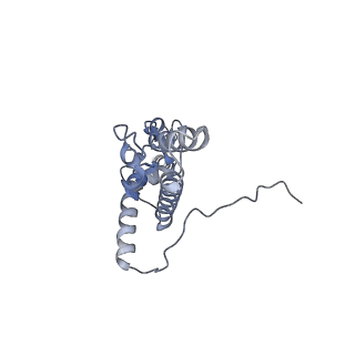 23785_7mdz_JJ_v1-1
80S rabbit ribosome stalled with benzamide-CHX