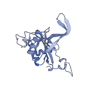 23785_7mdz_J_v1-1
80S rabbit ribosome stalled with benzamide-CHX