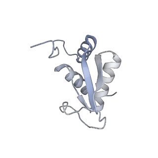 23785_7mdz_KK_v1-1
80S rabbit ribosome stalled with benzamide-CHX