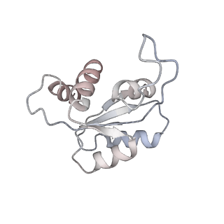 23785_7mdz_MM_v1-1
80S rabbit ribosome stalled with benzamide-CHX