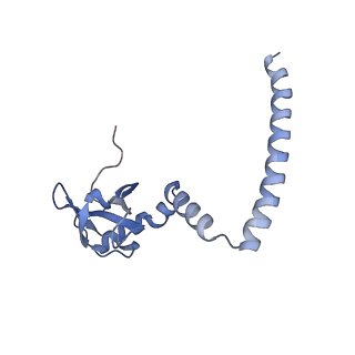 23785_7mdz_M_v1-1
80S rabbit ribosome stalled with benzamide-CHX