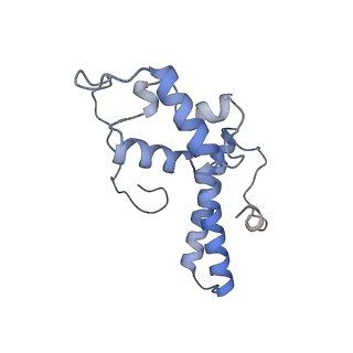 23785_7mdz_NN_v1-1
80S rabbit ribosome stalled with benzamide-CHX