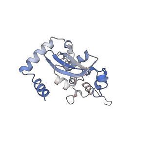 23785_7mdz_N_v1-1
80S rabbit ribosome stalled with benzamide-CHX