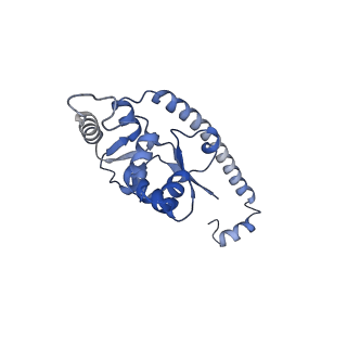 23785_7mdz_O_v1-1
80S rabbit ribosome stalled with benzamide-CHX
