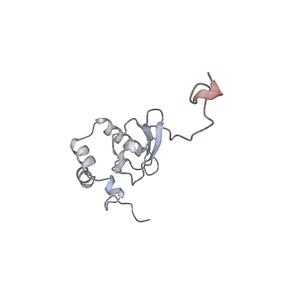 23785_7mdz_PP_v1-1
80S rabbit ribosome stalled with benzamide-CHX