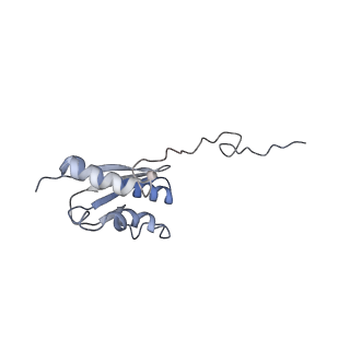 23785_7mdz_QQ_v1-1
80S rabbit ribosome stalled with benzamide-CHX