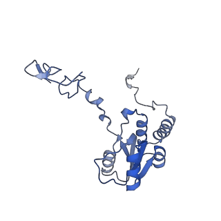 23785_7mdz_Q_v1-1
80S rabbit ribosome stalled with benzamide-CHX