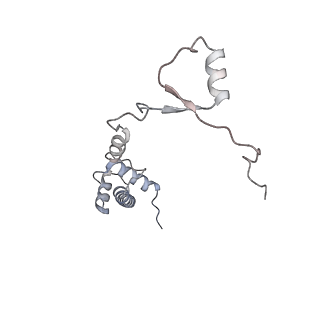 23785_7mdz_RR_v1-1
80S rabbit ribosome stalled with benzamide-CHX