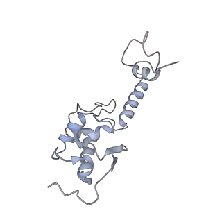 23785_7mdz_SS_v1-1
80S rabbit ribosome stalled with benzamide-CHX