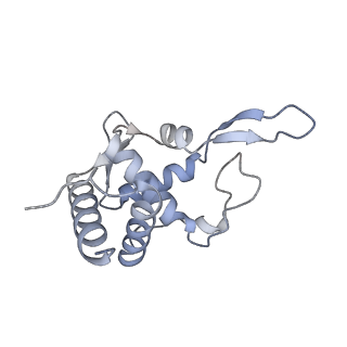 23785_7mdz_TT_v1-1
80S rabbit ribosome stalled with benzamide-CHX