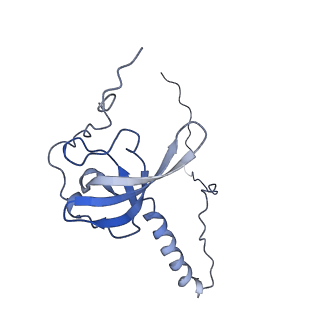 23785_7mdz_T_v1-1
80S rabbit ribosome stalled with benzamide-CHX