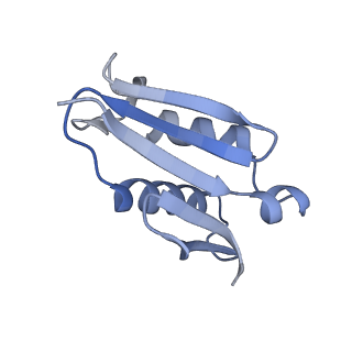 23785_7mdz_U_v1-1
80S rabbit ribosome stalled with benzamide-CHX