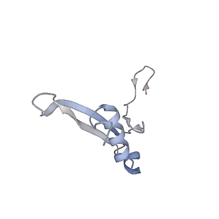23785_7mdz_VV_v1-1
80S rabbit ribosome stalled with benzamide-CHX