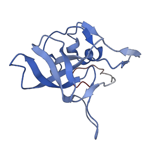 23785_7mdz_V_v1-1
80S rabbit ribosome stalled with benzamide-CHX