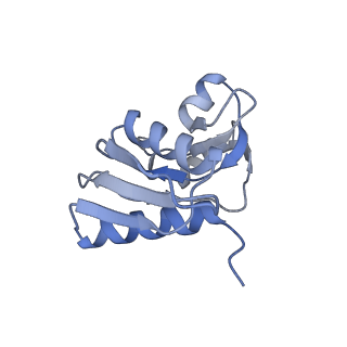 23785_7mdz_WW_v1-1
80S rabbit ribosome stalled with benzamide-CHX