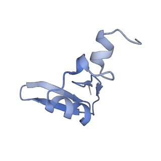 23785_7mdz_W_v1-1
80S rabbit ribosome stalled with benzamide-CHX