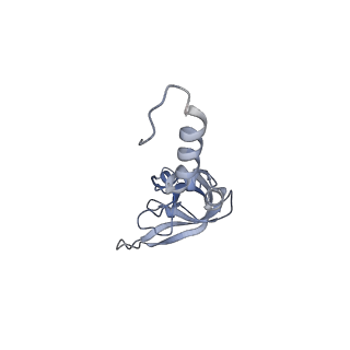 23785_7mdz_XX_v1-1
80S rabbit ribosome stalled with benzamide-CHX