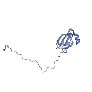 23785_7mdz_X_v1-1
80S rabbit ribosome stalled with benzamide-CHX