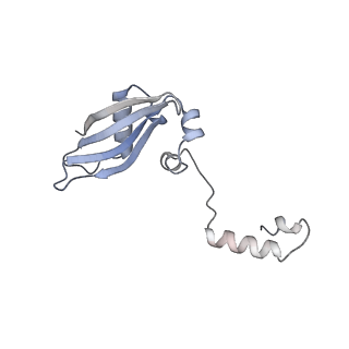 23785_7mdz_YY_v1-1
80S rabbit ribosome stalled with benzamide-CHX
