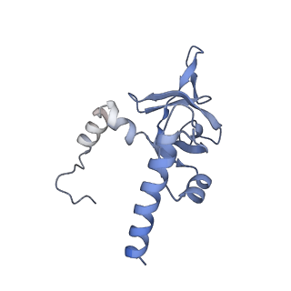 23785_7mdz_Y_v1-1
80S rabbit ribosome stalled with benzamide-CHX