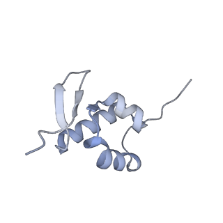 23785_7mdz_ZZ_v1-1
80S rabbit ribosome stalled with benzamide-CHX