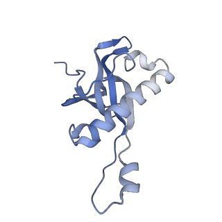 23785_7mdz_Z_v1-1
80S rabbit ribosome stalled with benzamide-CHX