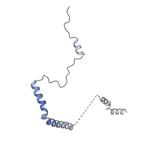 23785_7mdz_b_v1-1
80S rabbit ribosome stalled with benzamide-CHX