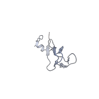 23785_7mdz_bb_v1-1
80S rabbit ribosome stalled with benzamide-CHX