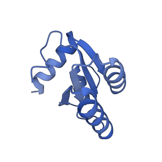 23785_7mdz_c_v1-1
80S rabbit ribosome stalled with benzamide-CHX