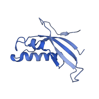 23785_7mdz_d_v1-1
80S rabbit ribosome stalled with benzamide-CHX