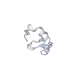 23785_7mdz_dd_v1-1
80S rabbit ribosome stalled with benzamide-CHX