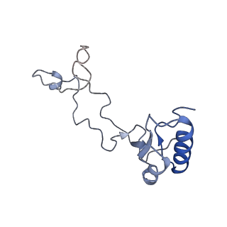 23785_7mdz_e_v1-1
80S rabbit ribosome stalled with benzamide-CHX