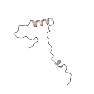 23785_7mdz_ee_v1-1
80S rabbit ribosome stalled with benzamide-CHX