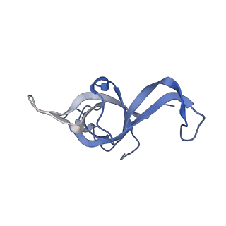 23785_7mdz_f_v1-1
80S rabbit ribosome stalled with benzamide-CHX