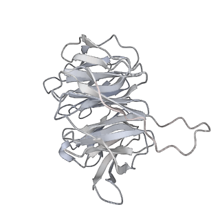 23785_7mdz_gg_v1-1
80S rabbit ribosome stalled with benzamide-CHX