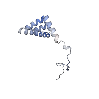 23785_7mdz_i_v1-1
80S rabbit ribosome stalled with benzamide-CHX