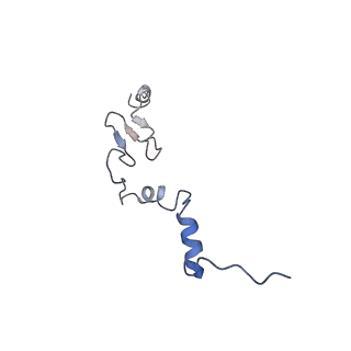 23785_7mdz_j_v1-1
80S rabbit ribosome stalled with benzamide-CHX
