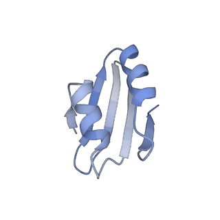 23785_7mdz_k_v1-1
80S rabbit ribosome stalled with benzamide-CHX