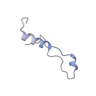 23785_7mdz_l_v1-1
80S rabbit ribosome stalled with benzamide-CHX