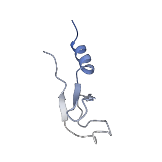 23785_7mdz_m_v1-1
80S rabbit ribosome stalled with benzamide-CHX