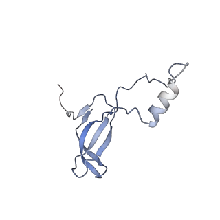 23785_7mdz_o_v1-1
80S rabbit ribosome stalled with benzamide-CHX