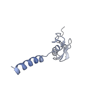 23785_7mdz_p_v1-1
80S rabbit ribosome stalled with benzamide-CHX