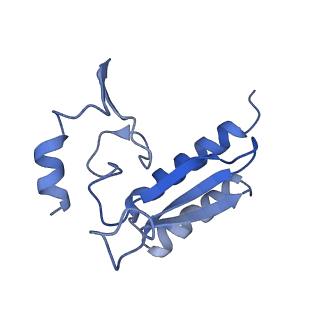 23785_7mdz_r_v1-1
80S rabbit ribosome stalled with benzamide-CHX