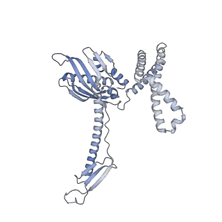 3489_5mdv_7_v1-3
Structure of ArfA and RF2 bound to the 70S ribosome (accommodated state)